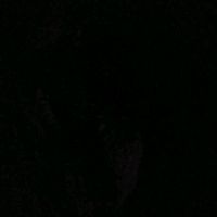 junior_ortiz_r