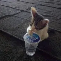 original sound - itsjeanz_