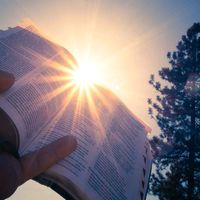 palavradelibertacao2