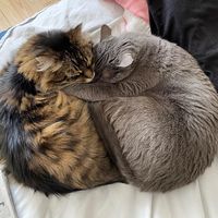 larryandmaeby