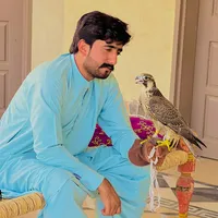 original sound - shafqatchan5