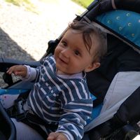 cosmycosmina396