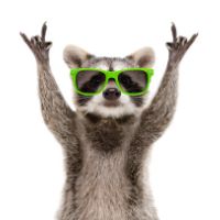 viralcritters
