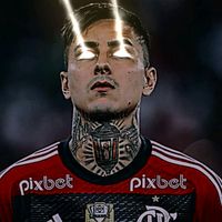flanacao10