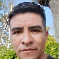 rorrito.mx