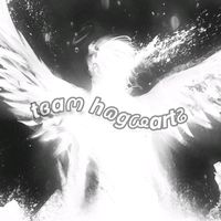 __.hogwarts__team_