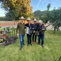 original sound - alfonsopayanyasociados