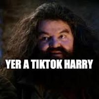 uratiktokharry