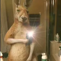 original sound - flakita.alaniz7