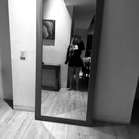 lily_rosaless