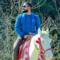 hamid_heartless