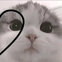 original sound - monse.dvp.1254