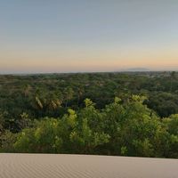 eleveseuspensamentos