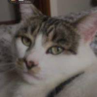 defonotcaitlyn69