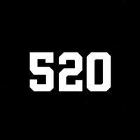 kproject520