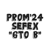 promo24_sefex