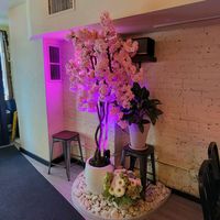 mibellachichicasteca