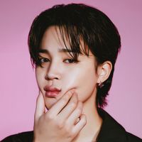 jungkook disease bridge