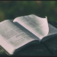 statusgospel36