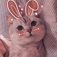 _iam.ximee
