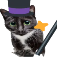 mage tears cats in the cold