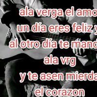 mi.pandita35