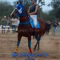 sonido original