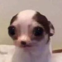 adrielpiba