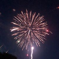 Omg so many people used this sound