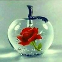 mirela_sadik