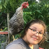 original sound - rachel_makes_a_tiktok