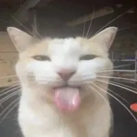 original sound - lyricsvoorjou