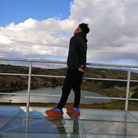 alexfer.insa