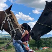 story.vaquejadas