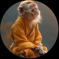 moholomonkey