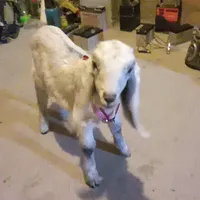 original sound - marianaluciagr5