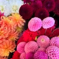 original sound - desi_girl041