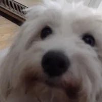 original sound - jasamuki