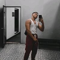 dino.rex16