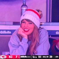 amelink_greys.anatomy