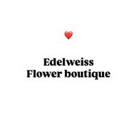 edelweiss_flower_