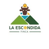 fescondida2020gt