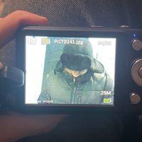 оригинальный звук