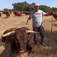 elvaquerino