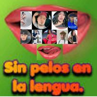 sinpelosenlalenguas