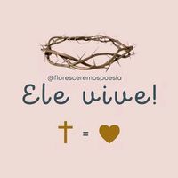 eleviveerei
