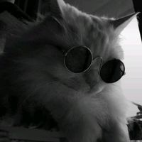 suara asli - RisXStudent⸸