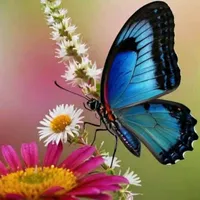 original sound - inocenciaservian57