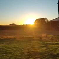 regianemarquesferrira