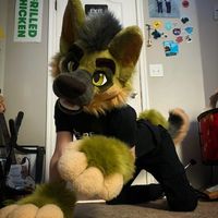 barkinbox